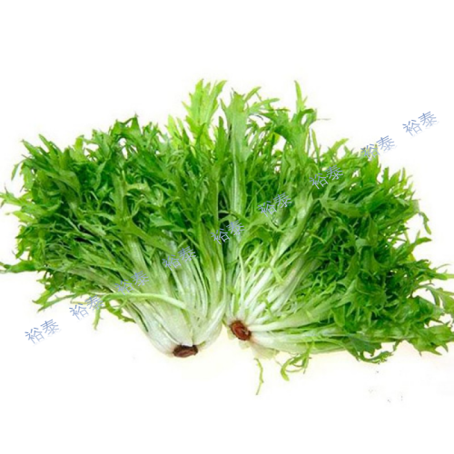 蟹爪生菜/九芽菜